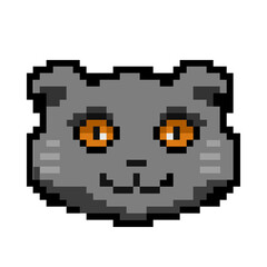 Obraz premium Scottish Fold pixel cat
