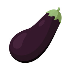 Vector illustration of eggplant on white background.