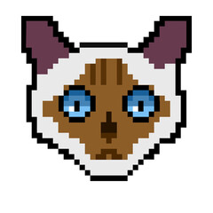 Obraz premium Siamese pixel cat