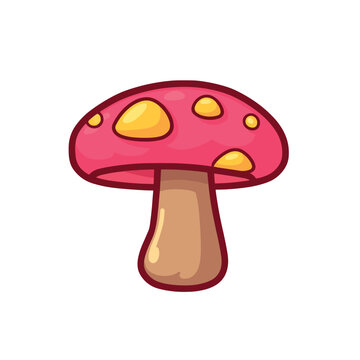 mushroom on a white