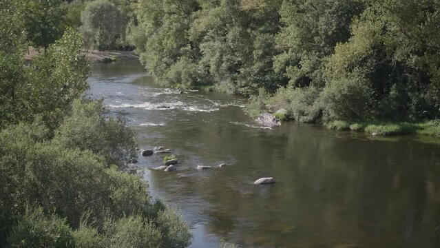 Slow motion aerial view of a flowing river surrounded by green tree