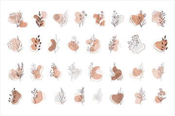 Vector abstract organic story set cover templates. Botanical illustration in earth tone colors.	
