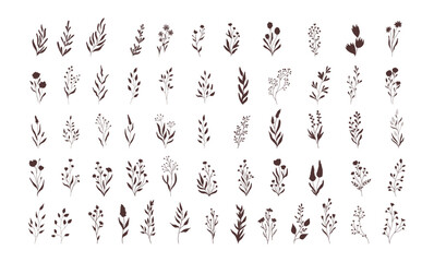 Set of vector vintage floral elements. Cute set of doodle frames and borders. Elements flowers, branches, swashes and flourishes	