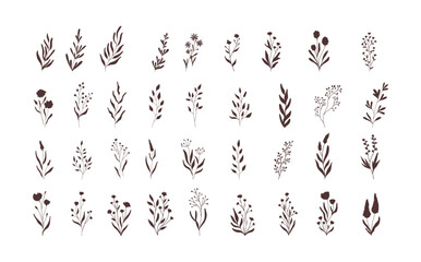 Set of vector vintage floral elements.Hand drawn cute line art . Elements flowers, branches, swashes and flourishes	