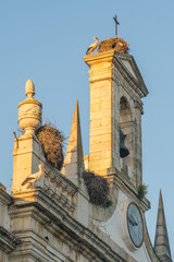 Stork nests on the church roof in old town of Faro, Algarve province of Portugal