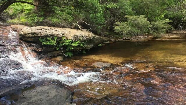 Stream flowing on stone ground river in the park with plants and trees