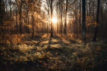 forest at sunset, with warm, golden tones and rays of light filtering through the trees. generative ai.
