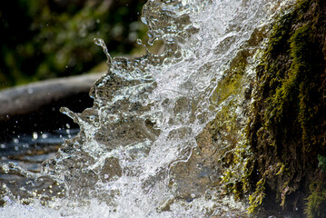 Water splashes in the air on a dark background. Shallow depth of field