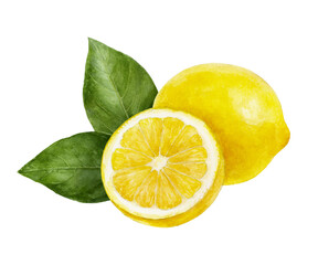 Watercolor painting of lemon isolated on white background, closeup, botanical illustration. - obrazy, fototapety, plakaty
