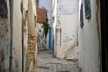 Narrow Back Alley in Tunis Medina