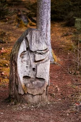 Papier Peint photo Monument historique Pagan wooden idol made of wood carved face in the park ground
