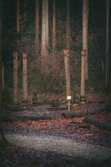 Obraz premium Dirt path in the forest with autumn trees and dry leaves, vertical shot