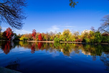 Obraz premium Beautiful scene of colorful trees reflecting on lake water under blue sky