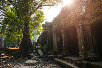 Naklejka premium Ruins of ancient Khmer temple in Siem Reap, Cambodia