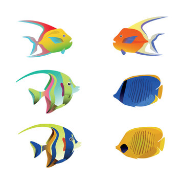 Exotic tropical fish set in different shapes and colors flat isolated illustration