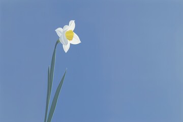 A daffodil iris flower painting. 