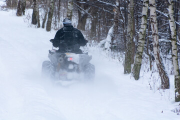 Fototapeta zima, człowiek na quadzie jadący leśną, zasypaną śniegiem drogą obraz