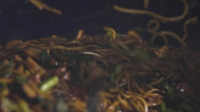 A chef is stir frying Hokkien noodles in a hot pan with steam, a local dish of Phuket Thailand.