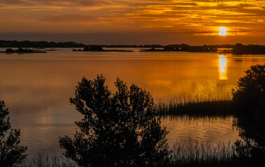 Fototapeta na wymiar Beautiful sunset over the swamp in Louisiana, the reflection of clouds in the water, USA