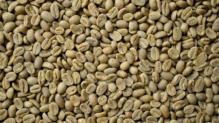 Raw coffee beans close up. Green unroasted coffee beans
