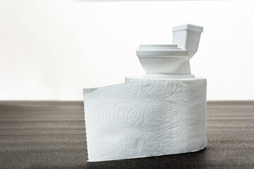 Small toy toilet is on roll of white toilet paper. Soft eco-friendly toilet paper made from recycled materials.