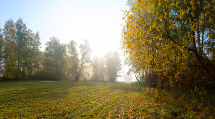 Colorful autumn landscape in a foggy morning