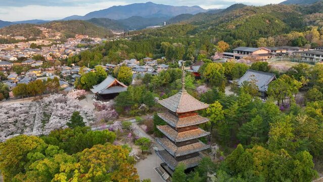 aerial view of Kyoto old town, traditional Japanese temple of Ninna-ji in spring with sakura trees in bloom, sakura blossom in Kyoto, tourism in Japan