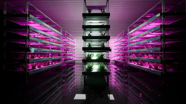 3d illustration render of vertical farm in modern background purple lights for plants