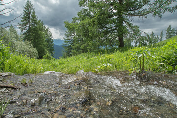 Summer landscape, mountain stream and summer greenery, gloomy sky