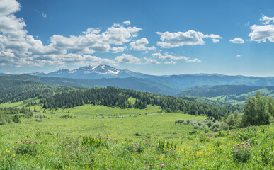 Summer greenery of meadows and forests and snow on the peaks, sunny day