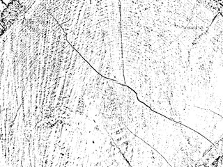 Organic pine tree cross-section grunge texture with cracks on monochrome sawn log background. Ideal for texture overlays, stencils & adding a raw, rustic feel to designs. Design element