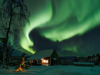 halloween night scene (Aurora Borealis in Fairbanks, Alaska) - obrazy, fototapety, plakaty