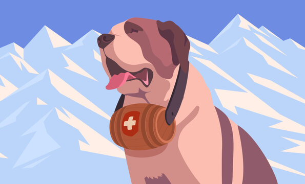 St. Bernard dog in the mountains