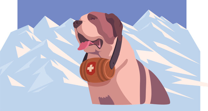 St. Bernard dog in the mountains