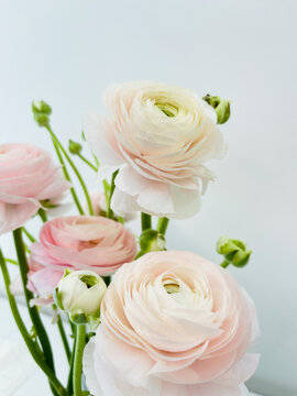 Bouquet of fresh flowers close up isolated on white background.