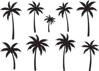 Poster Black palm tree set vector illustration on white background silhouette art black white © Okkie Agemo Studio03