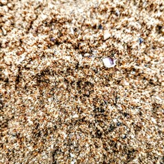 Sand.