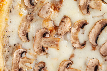 Freshly baked gourmet pizza with mushrooms and cheese