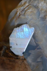 Natural moonstone mineral on collection - obrazy, fototapety, plakaty