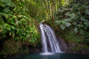 Waterfall Guadeloupe 