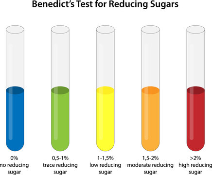 Benedict's Test for Reducing Sugars
