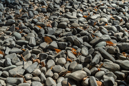 돌맹이 바닥 자갈 모음