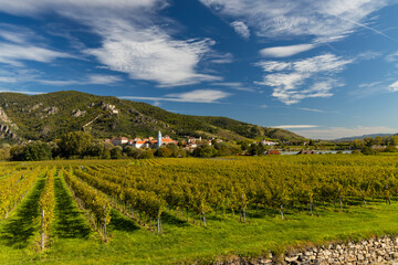 Wachau valley near Durnstein, UNESCO site, landscape with vineyards, Austria