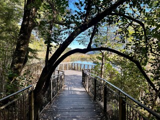 Fototapeta premium ミラー湖 フィヨルドランド国立公園 ニュージーランド