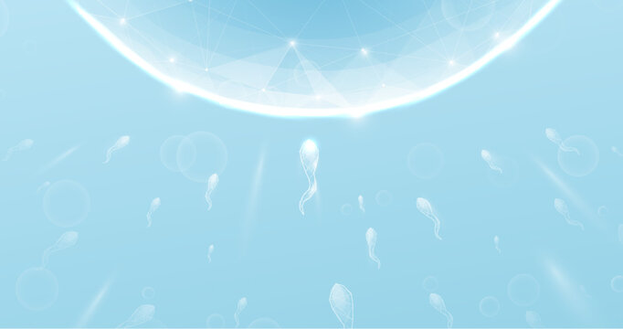 Sperm and egg cells. Natural fertilization. Low polygons, triangles, wireframe, and particle style. Vector illustration