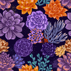 Cacti and succulents, Gray and purple exotic plants. Indoor flowers in pots. Home decor. Vector color sketch