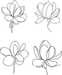 lily flower one line drawing