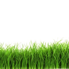 Fototapeta premium A peaceful and calming image of fresh green grass inspires feelings of harmony, balance, and connectedness with nature.