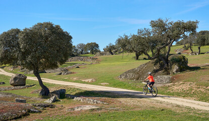 Obraz premium nice senior woman cyling with her electric mountain bike in a stone oak forest of the Extremadura department of Spain