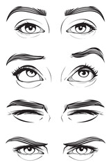 vector illustration pack  hand-drawn human eye expression line art